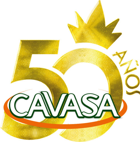 Logo-Cavasa-50-ANOS